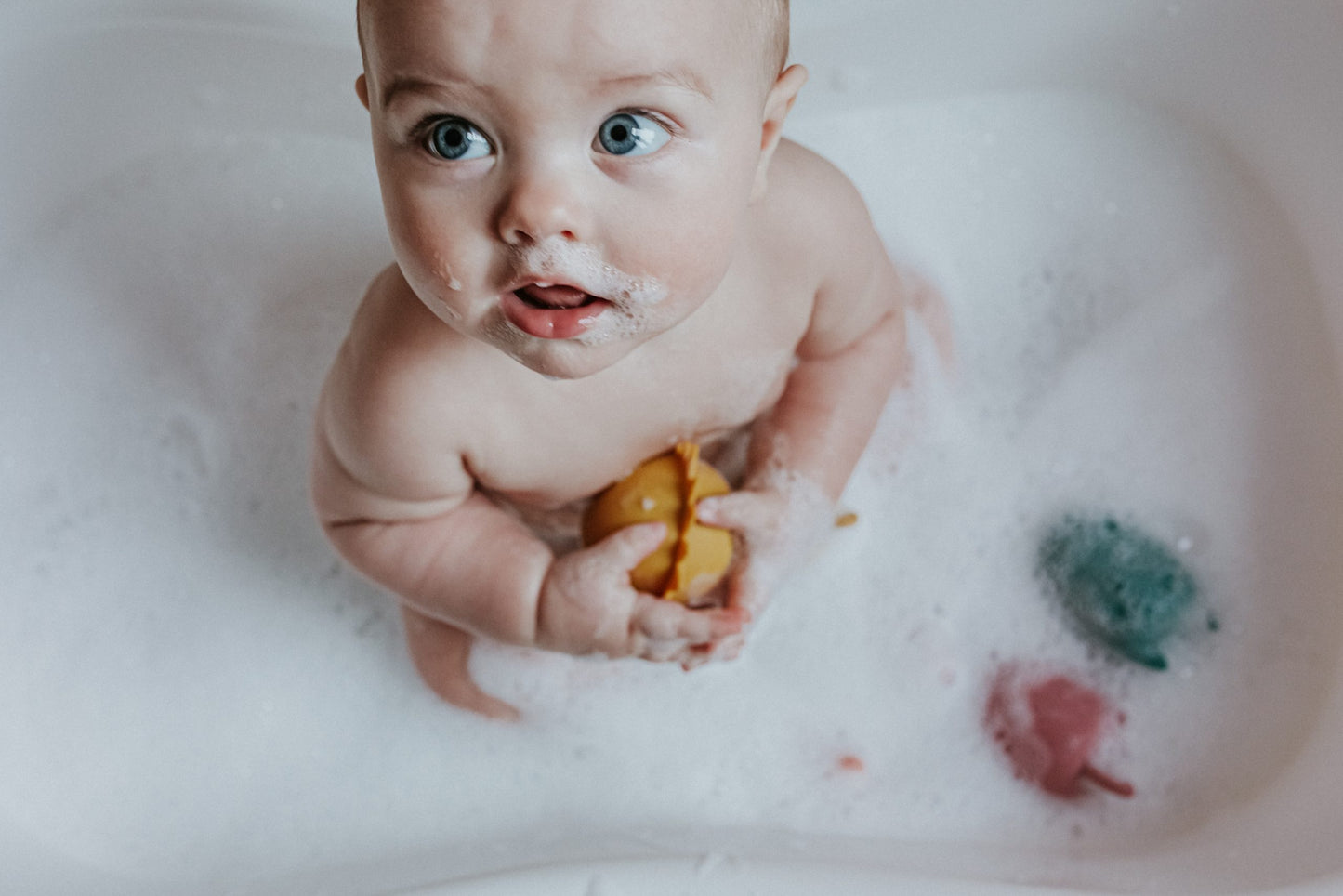 Jouets de bain | Safari